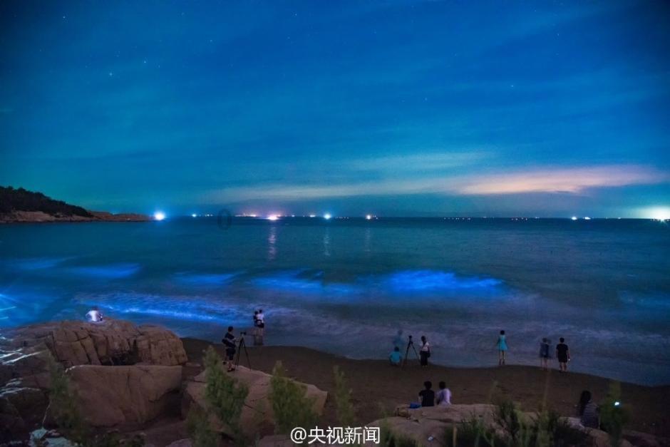 燃烧吧大脑免广告最新版