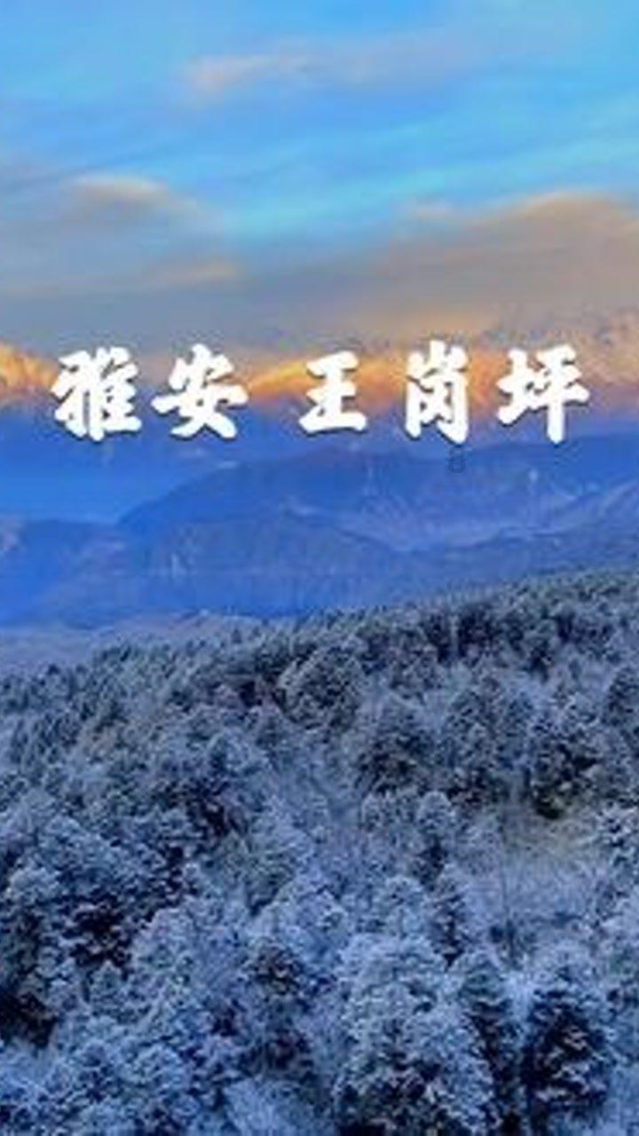 逃离荒废房屋