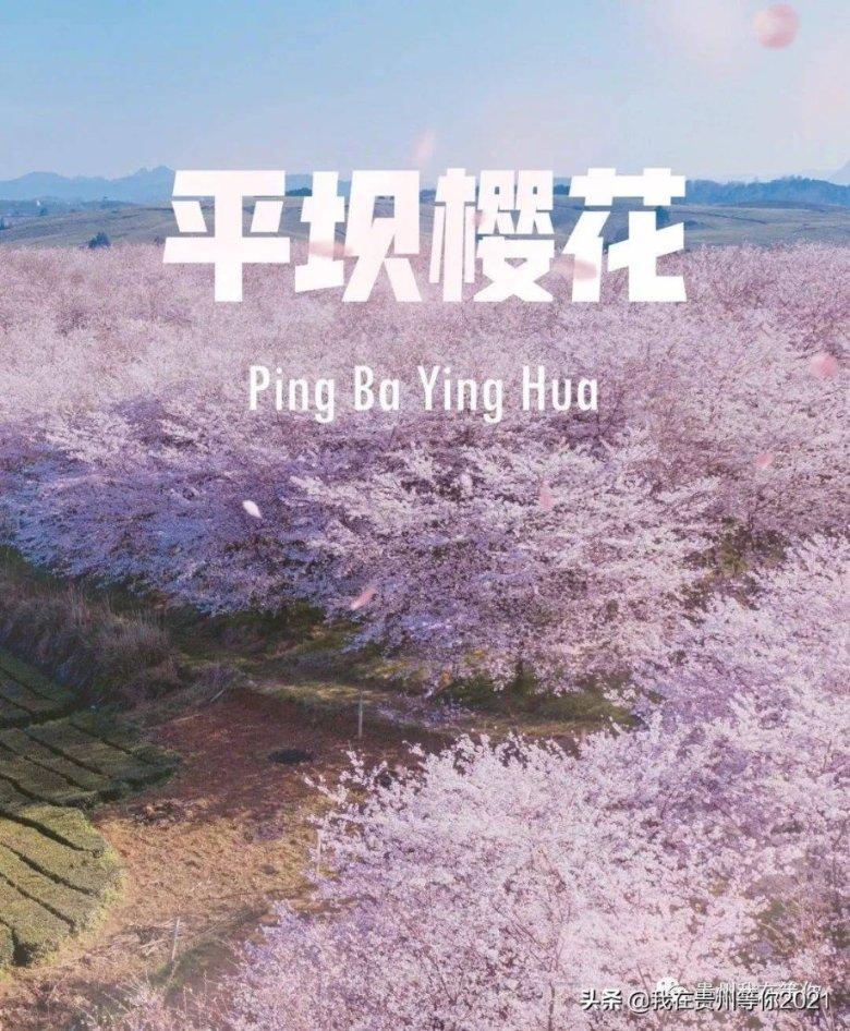 超三国无双6
