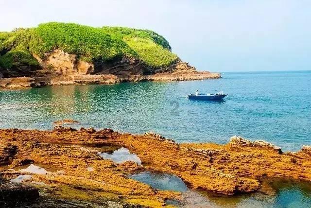 快刺水果