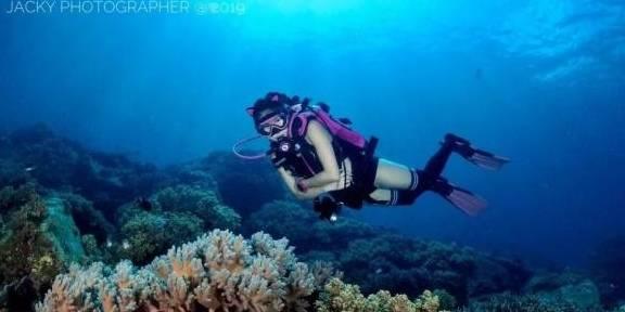 【融中早报】董宇辉新账号直播间被指抄袭 多个侮辱诽谤格力自媒体遭处罚