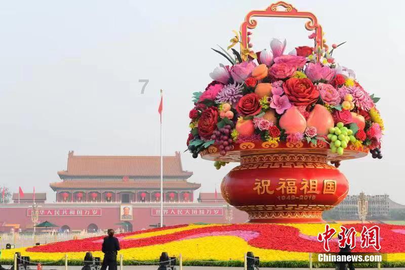 救援小棕兔