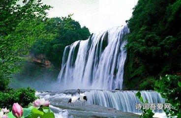 中兴天机a31pro:性价比之王