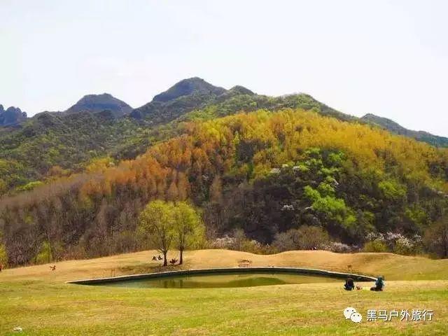 中山先生的原配夫人:孙科之母,离婚后到澳门定居,活了86岁