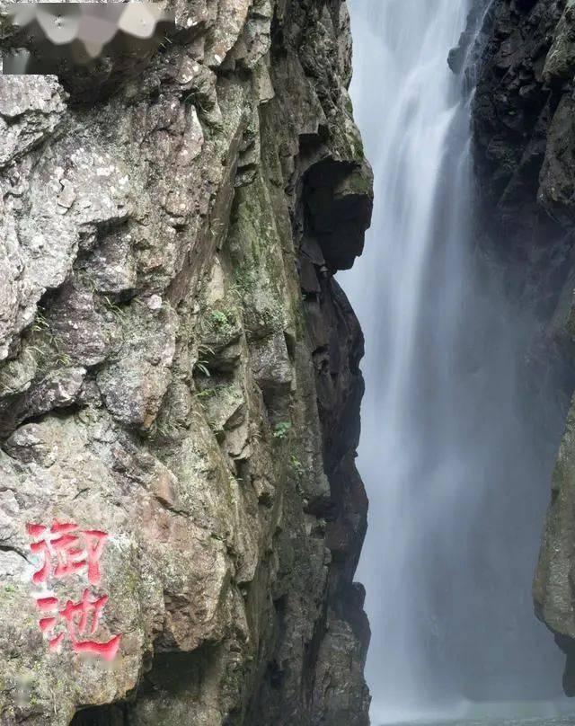 说话无原则、无脑子、无逻辑的领导，该如何相处呢？