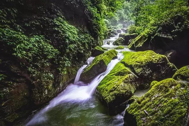 探索基层治理新模式 为平安普洱“添砖加瓦”