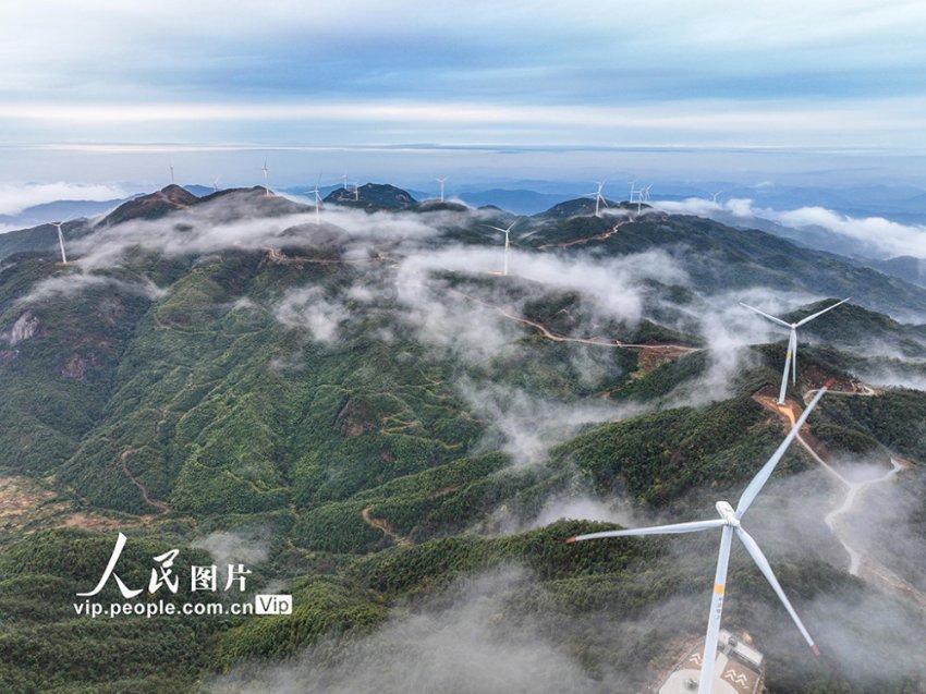 联合国官员：如果伊拉克境内外的袭击事件持续发生 该国将“面临危险”