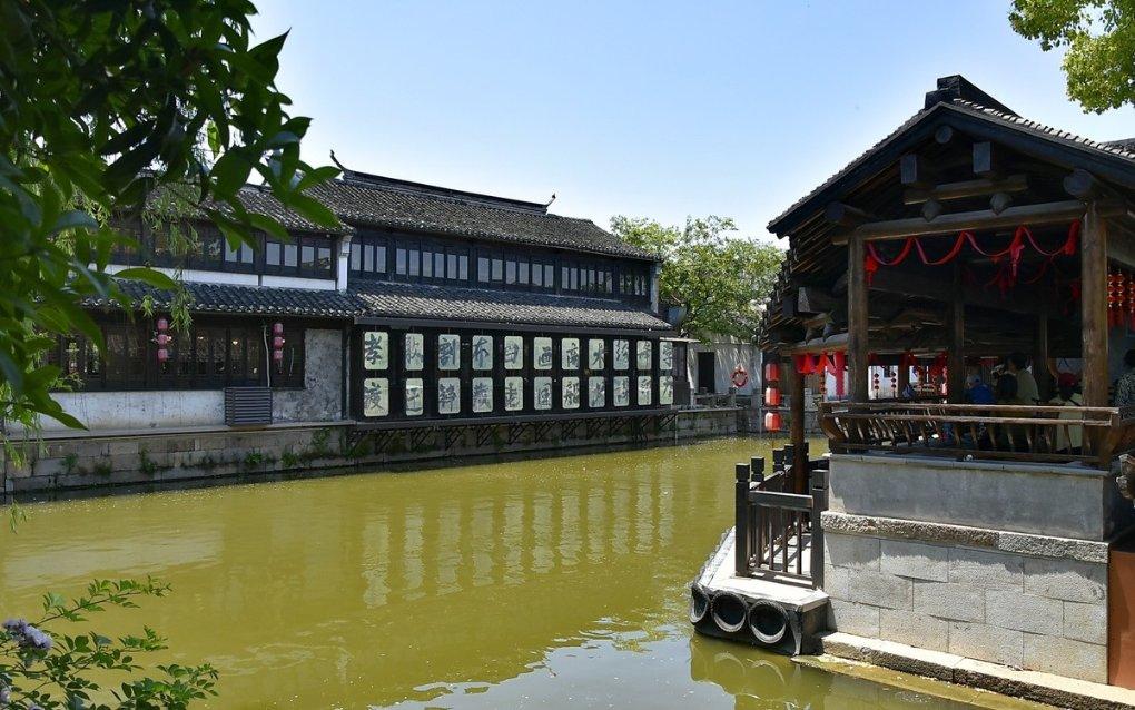 饿狮救援
