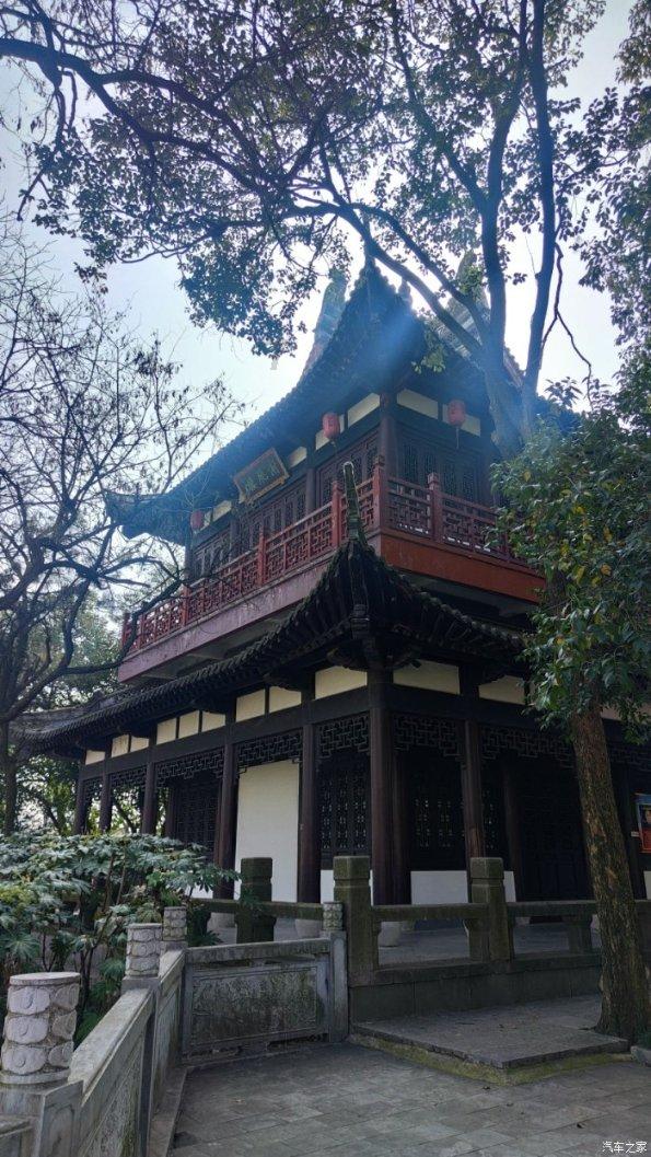 植物大战僵尸20