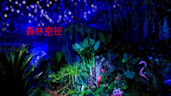 创新消费场景 贡献金融力量